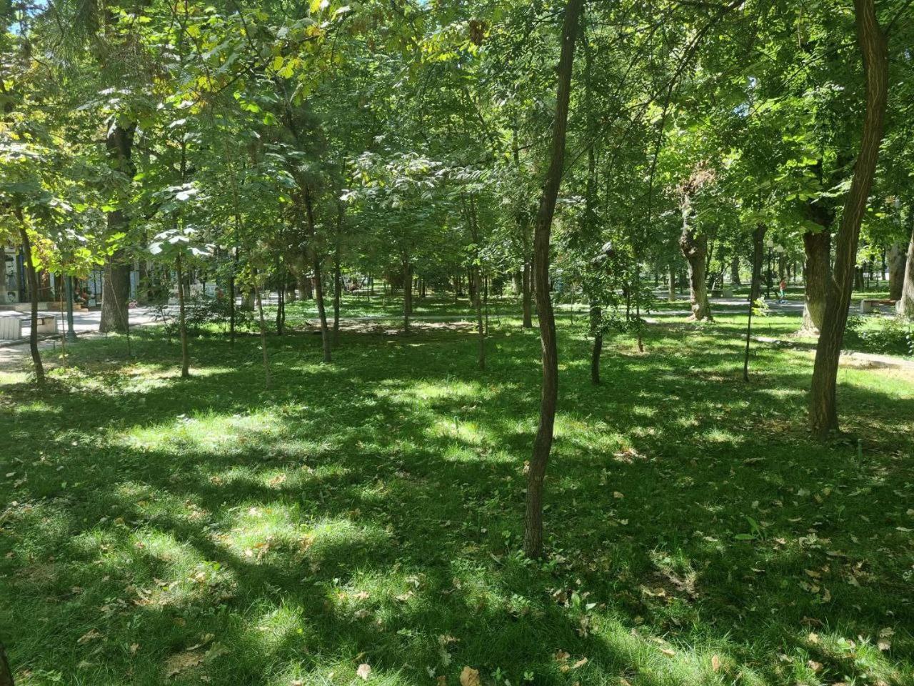 City Center Apartment 1 Ташкент Екстер'єр фото